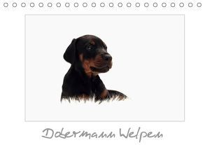 Dobermann Welpen (Tischkalender 2019 DIN A5 quer) von - Nicole Hahn,  nh-pawpixx.com