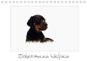 Dobermann Welpen (Tischkalender 2020 DIN A5 quer) von - Nicole Hahn,  nh-pawpixx.com