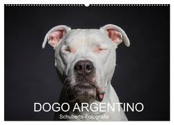 DOGO ARGENTINO (Wandkalender 2024 DIN A2 quer), CALVENDO Monatskalender von Schuberts-Fotografie,  Schuberts-Fotografie