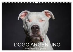 DOGO ARGENTINO (Wandkalender 2024 DIN A3 quer), CALVENDO Monatskalender von Schuberts-Fotografie,  Schuberts-Fotografie