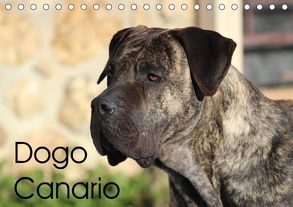 Dogo Canario (Tischkalender 2018 DIN A5 quer) von Wobst,  Petra