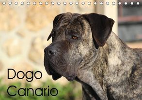 Dogo Canario (Tischkalender 2019 DIN A5 quer) von Wobst,  Petra