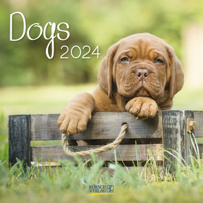 Dogs 2024 von Korsch Verlag