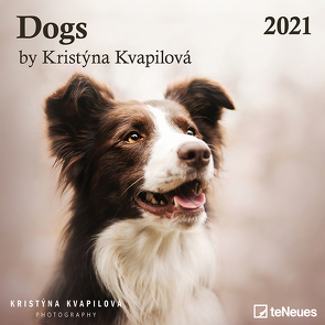Dogs by Kristýna Kvapilová 2021 – Wand-Kalender – Broschüren-Kalender – 30×30 – Hunde von Kvapilová,  Kristýna