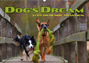 DOG’S DREAM – wovon Hunde träumen (Wandkalender 2021 DIN A2 quer) von Bleicher,  Renate