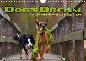 DOG’S DREAM – wovon Hunde träumen (Wandkalender 2022 DIN A4 quer) von Bleicher,  Renate