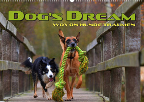 DOG’S DREAM – wovon Hunde träumen (Wandkalender 2023 DIN A2 quer) von Bleicher,  Renate