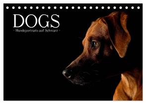 Dogs (Tischkalender 2024 DIN A5 quer), CALVENDO Monatskalender von Noack,  Nicole