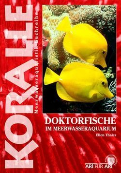 Doktorfische im Meerwasseraquarium von Thaler,  Ellen