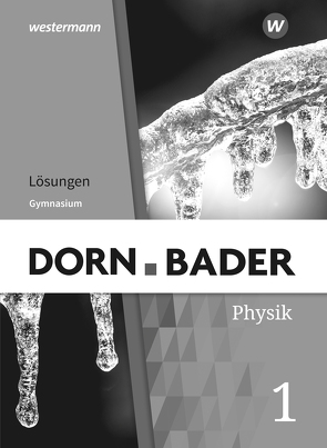 Dorn / Bader Physik SI – Allgemeine Ausgabe 2019 von Mueller,  Rainer