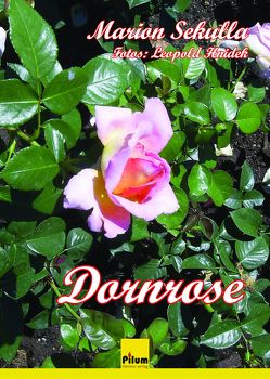 Dornrose von Sekulla,  Marion