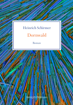 Dornwald von Schirmer,  Heinrich