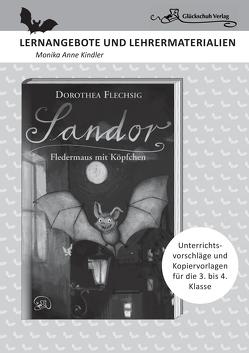Dorothea Flechsig: Sandor – Fledermaus mit Köpfchen von Kindler,  Monika Anne, Puille,  Christian