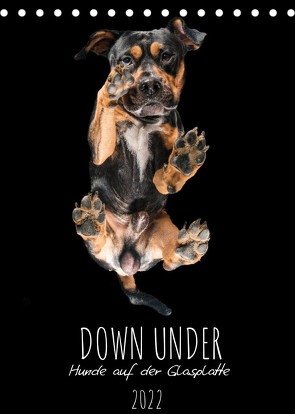 Down Under – Hunde auf der Glasplatte (Tischkalender 2022 DIN A5 hoch) von Gareis,  Silke