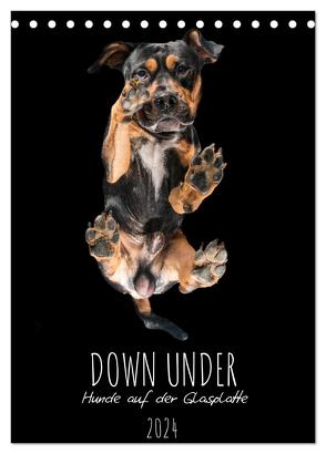 Down Under – Hunde auf der Glasplatte (Tischkalender 2024 DIN A5 hoch), CALVENDO Monatskalender von Gareis,  Silke
