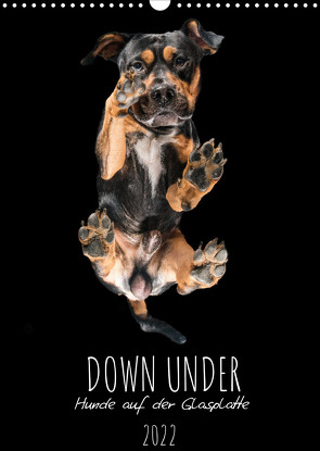 Down Under – Hunde auf der Glasplatte (Wandkalender 2022 DIN A3 hoch) von Gareis,  Silke