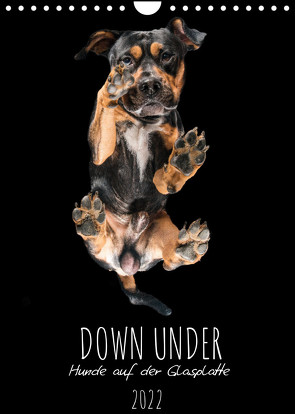 Down Under – Hunde auf der Glasplatte (Wandkalender 2022 DIN A4 hoch) von Gareis,  Silke