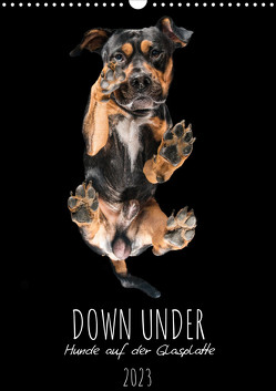 Down Under – Hunde auf der Glasplatte (Wandkalender 2023 DIN A3 hoch) von Gareis,  Silke