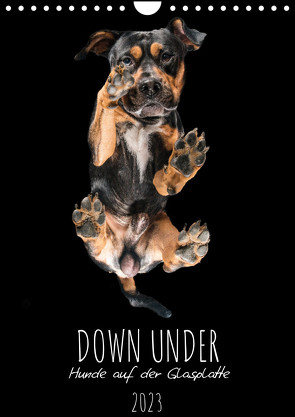 Down Under – Hunde auf der Glasplatte (Wandkalender 2023 DIN A4 hoch) von Gareis,  Silke