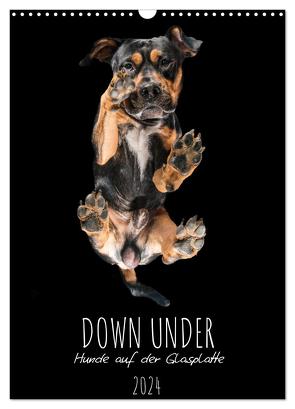 Down Under – Hunde auf der Glasplatte (Wandkalender 2024 DIN A3 hoch), CALVENDO Monatskalender von Gareis,  Silke