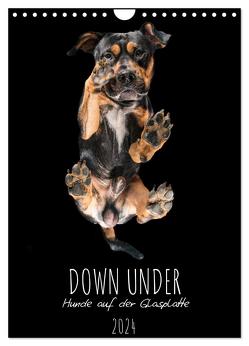 Down Under – Hunde auf der Glasplatte (Wandkalender 2024 DIN A4 hoch), CALVENDO Monatskalender von Gareis,  Silke