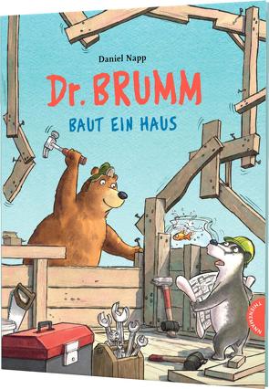 Dr. Brumm: Dr. Brumm baut ein Haus von Napp,  Daniel
