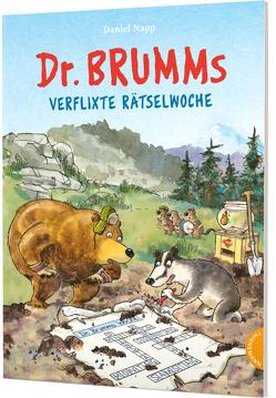 Dr. Brumm: Dr. Brumms verflixte Rätselwoche von Napp,  Daniel, Reimers,  Silke