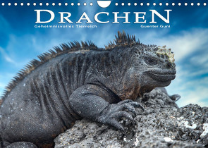 Drachen: Geheimnisvolles Tierreich (Wandkalender 2023 DIN A4 quer) von Guni,  Günter