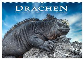 Drachen: Geheimnisvolles Tierreich (Wandkalender 2024 DIN A2 quer), CALVENDO Monatskalender von Guni,  Günter