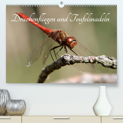 Drachenfliegen und Teufelsnadeln (Premium, hochwertiger DIN A2 Wandkalender 2021, Kunstdruck in Hochglanz) von Freiberg,  Thomas