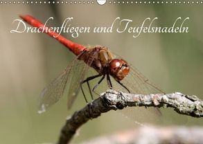 Drachenfliegen und Teufelsnadeln (Wandkalender 2018 DIN A3 quer) von Freiberg,  Thomas