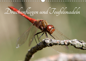 Drachenfliegen und Teufelsnadeln (Wandkalender 2020 DIN A3 quer) von Freiberg,  Thomas