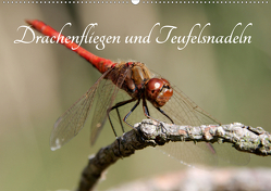 Drachenfliegen und Teufelsnadeln (Wandkalender 2021 DIN A2 quer) von Freiberg,  Thomas
