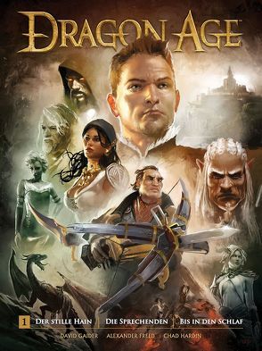 Dragon Age 1 von Freed,  Alexander, Gaider,  David, Hardin,  Chad, Stumpf,  Jacqueline