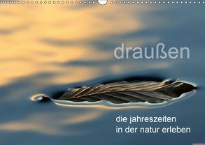 draußen – die jahreszeiten in der natur erleben (Wandkalender 2018 DIN A3 quer) von Schürholz,  Peter