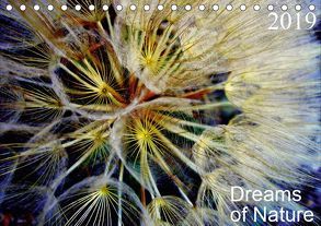 Dreams of Nature (Tischkalender 2019 DIN A5 quer) von AnBe