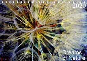 Dreams of Nature (Tischkalender 2020 DIN A5 quer) von AnBe