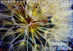 Dreams of Nature (Tischkalender 2021 DIN A5 quer) von AnBe