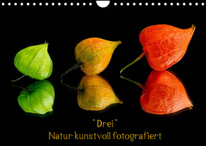 „Drei“ Natur kunstvoll fotografiert (Wandkalender 2022 DIN A4 quer) von Goerz,  Beate