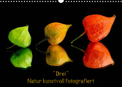 „Drei“ Natur kunstvoll fotografiert (Wandkalender 2023 DIN A3 quer) von Goerz,  Beate