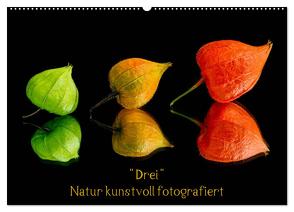„Drei“ Natur kunstvoll fotografiert (Wandkalender 2024 DIN A2 quer), CALVENDO Monatskalender von Goerz,  Beate