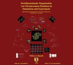 Dreidimensionale Organisation von Chromosomen-Domänen in Simulation und Experiment von Knoch,  Tobias Aurelius