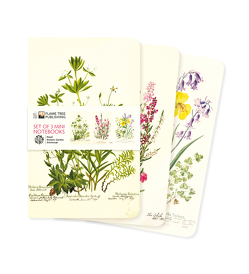 Dreier Set Mini-Notizbücher: Royal Botanic Garden Edinburgh