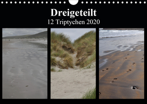 Dreigeteilt – 12 Triptychen 2020 (Wandkalender 2020 DIN A4 quer) von Franz,  Ingrid