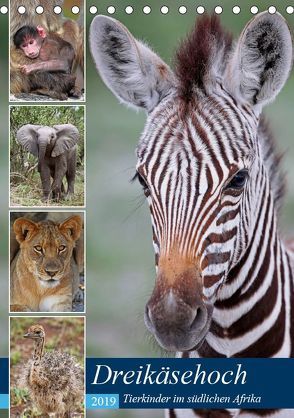 Dreikäsehoch – Tierkinder im südlichen Afrika (Tischkalender 2019 DIN A5 hoch) von Woyke,  Wibke