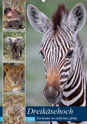 Dreikäsehoch – Tierkinder im südlichen Afrika (Wandkalender 2019 DIN A2 hoch) von Woyke,  Wibke