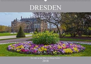 Dresden, ein Jahr an der Elbe (Wandkalender 2018 DIN A2 quer) von Seifert,  Birgit