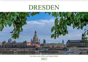 Dresden, ein Jahr an der Elbe (Wandkalender 2023 DIN A2 quer) von Seifert,  Birgit
