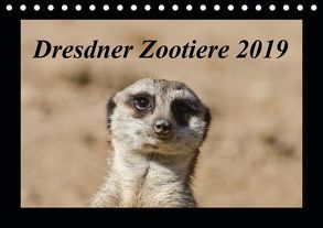 Dresdner Zootiere 2019 (Tischkalender 2019 DIN A5 quer) von Weirauch,  Michael