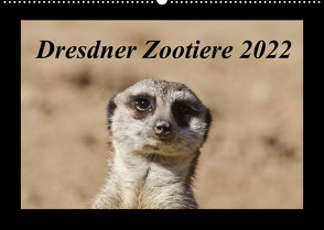 Dresdner Zootiere 2022 (Wandkalender 2022 DIN A2 quer) von Weirauch,  Michael